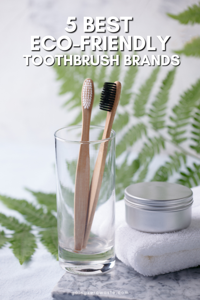 5 Best Eco Nice Toothbrush Producers